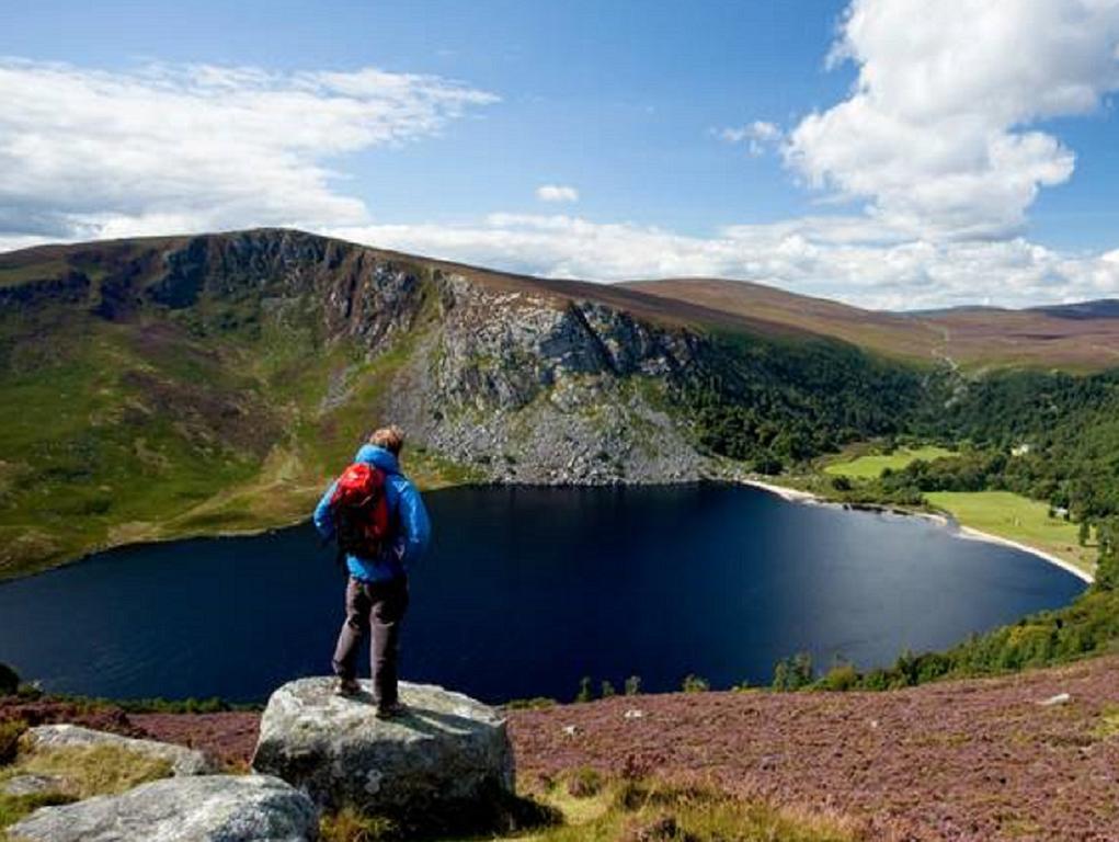 River Lodge Accomodation Wicklow Bagian luar foto