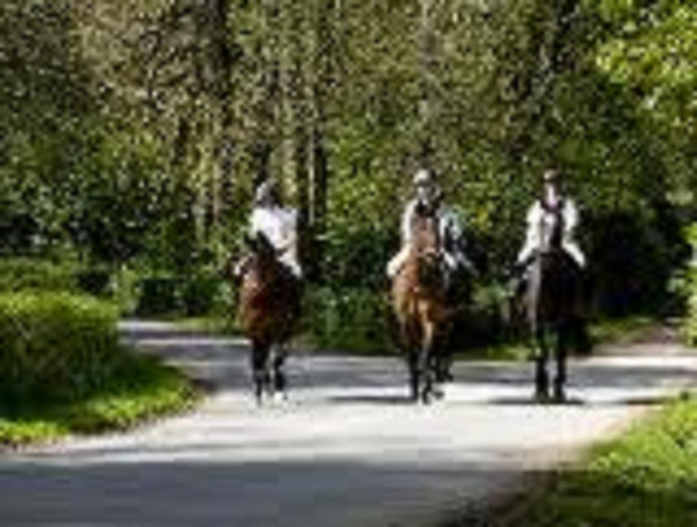 River Lodge Accomodation Wicklow Bagian luar foto